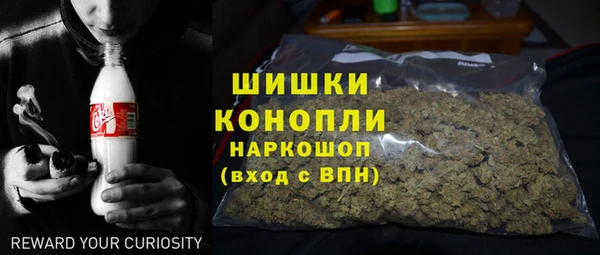 гидра Бородино