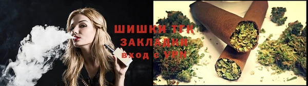 гидра Бородино