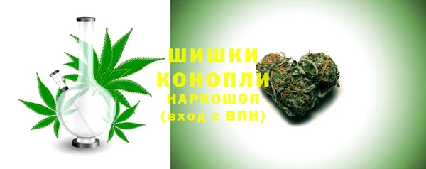 гидра Бородино