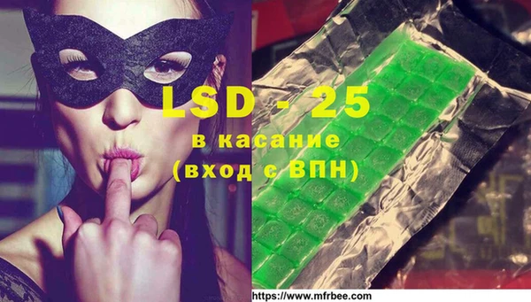 гидра Бородино