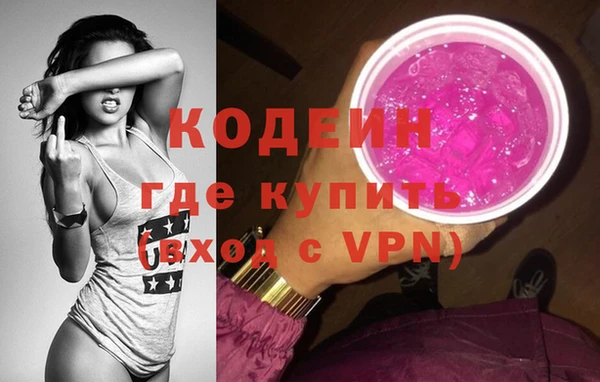гидра Бородино