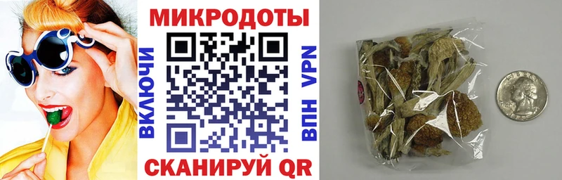 Галлюциногенные грибы ЛСД  что такое   Тихвин 
